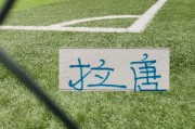 开云入口-这标王值了！申花新9号不仅能抗伤又听话  还是射手第一 满满优点